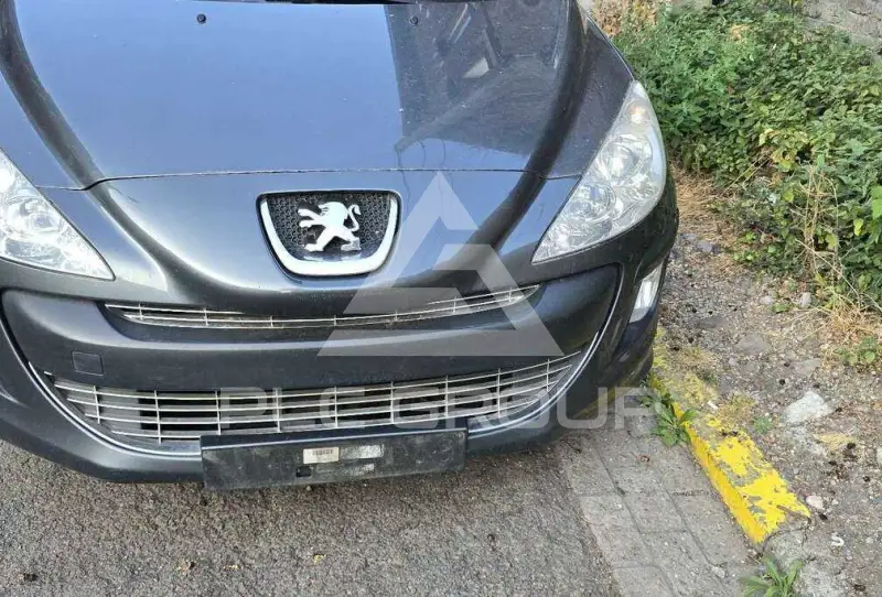 2009 Peugeot 308