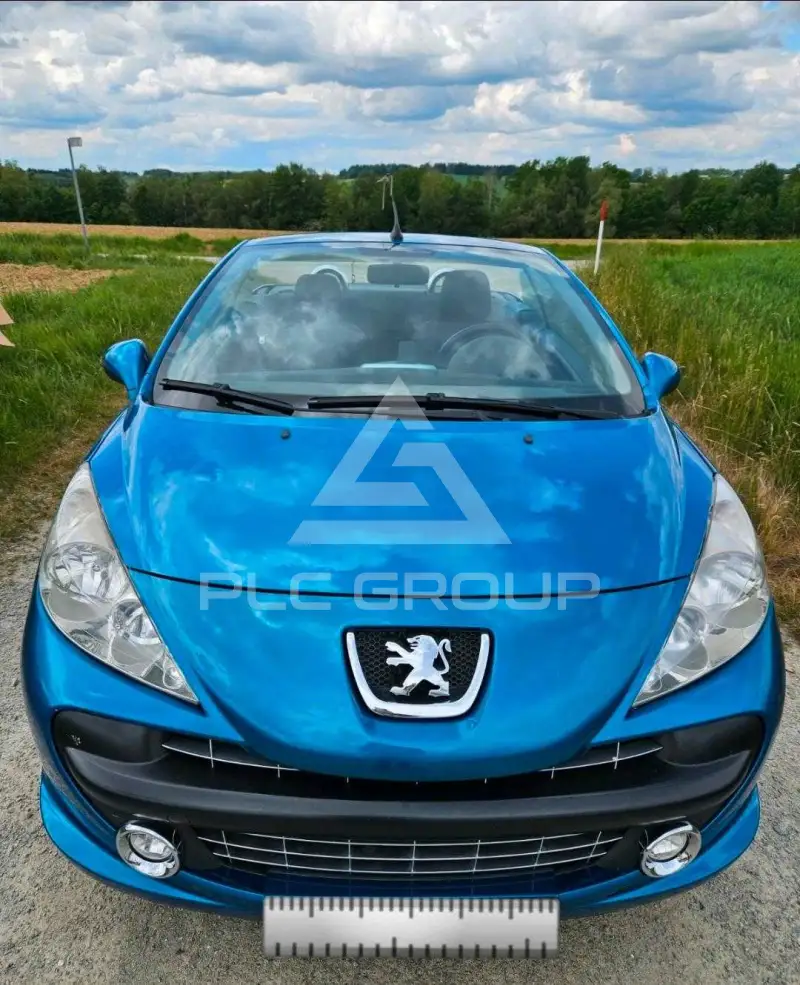 2009 Peugeot 207