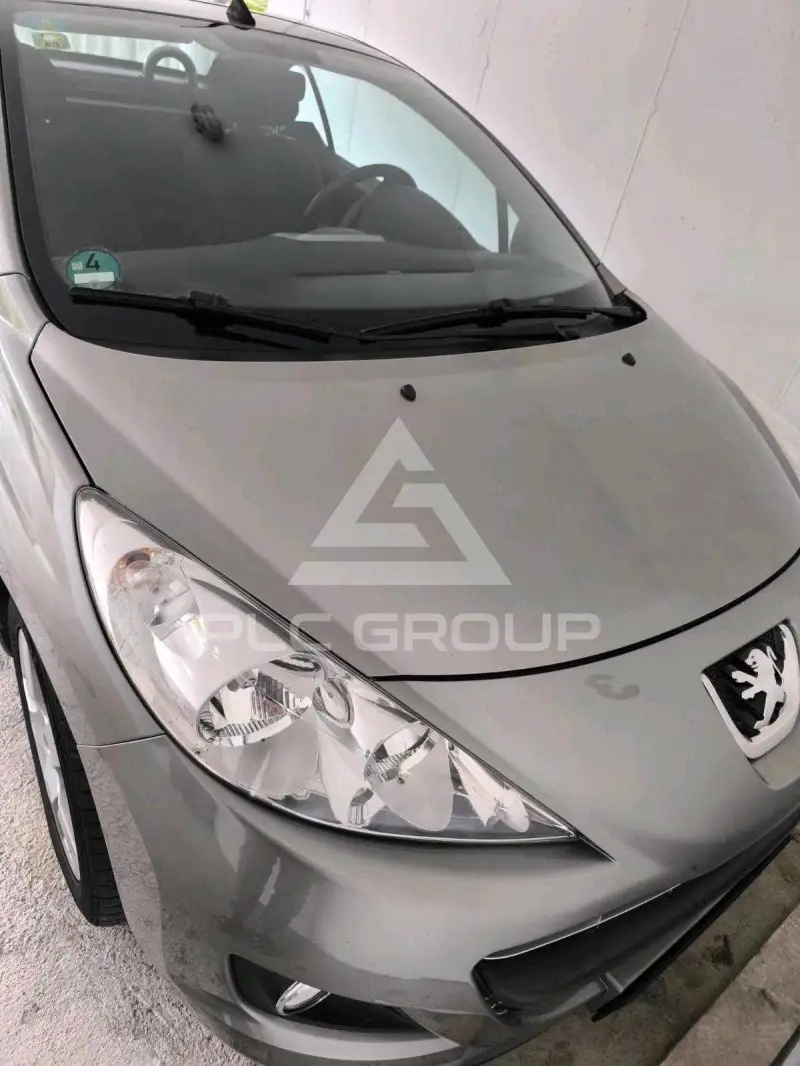 2009 Peugeot 207