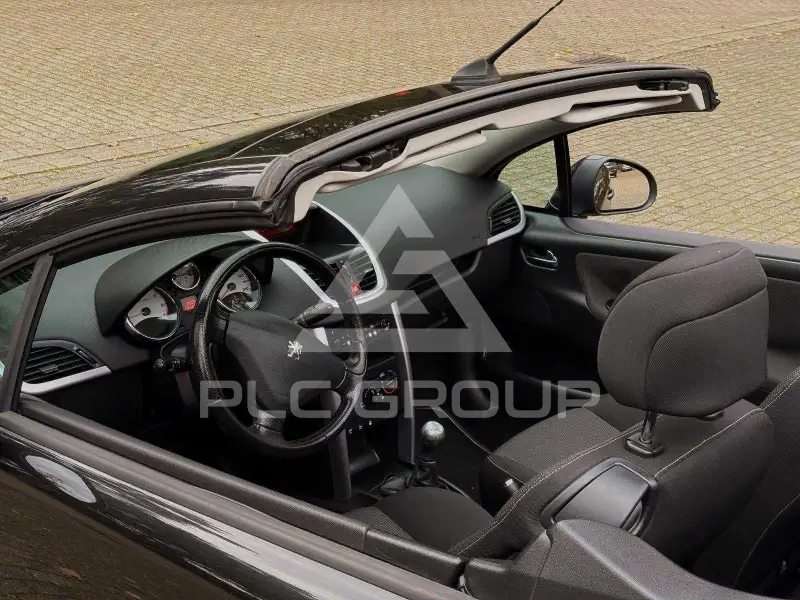 2009 Peugeot 207