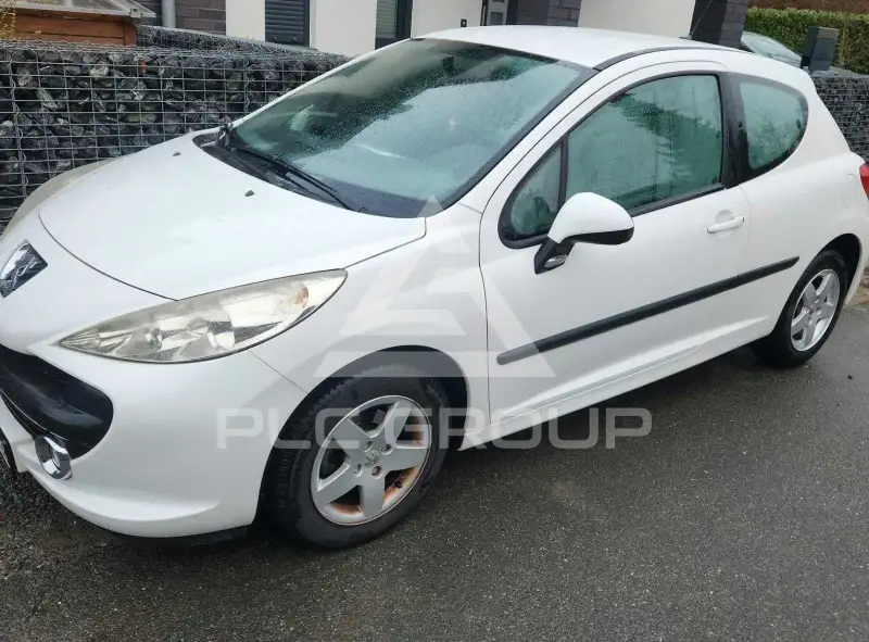 2009 Peugeot 207