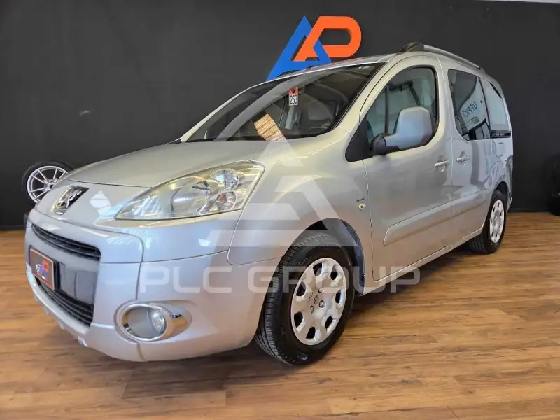 2009 Peugeot Partner