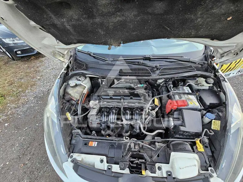 2009 Ford FIESTA