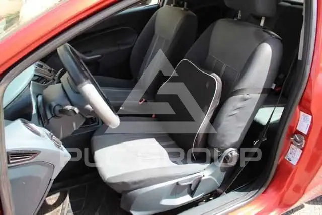 2009 Ford FIESTA