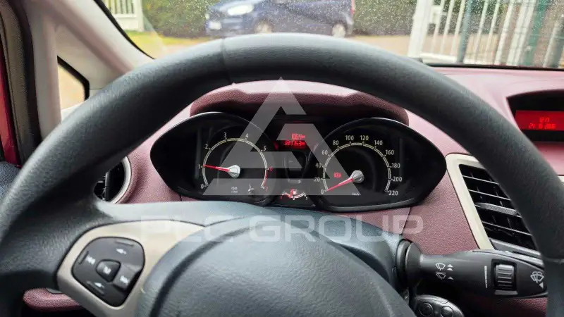 2009 Ford FIESTA