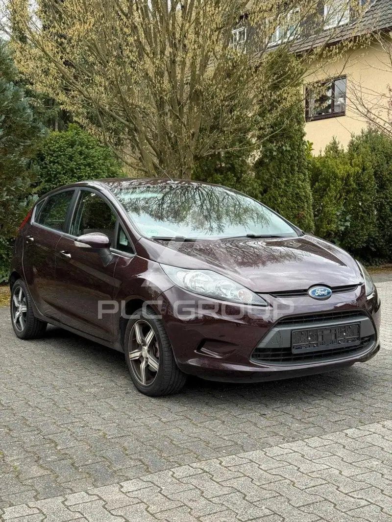 2009 Ford FIESTA