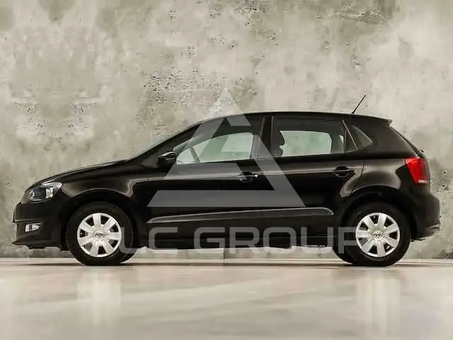 2009 Volkswagen Polo