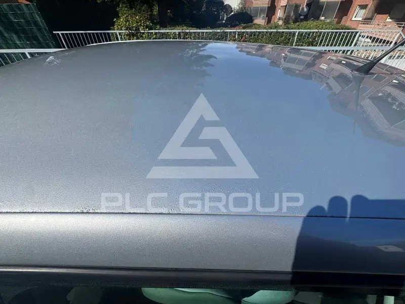 2009 Volkswagen Polo