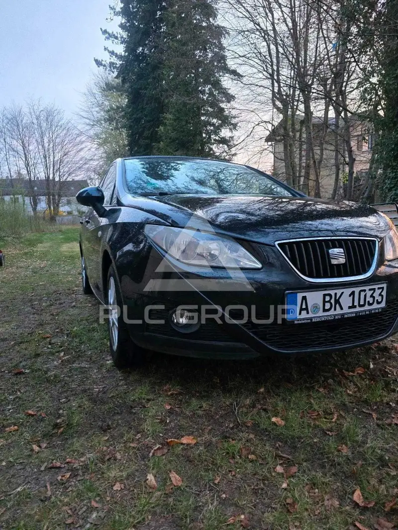 2009 Seat Ibiza