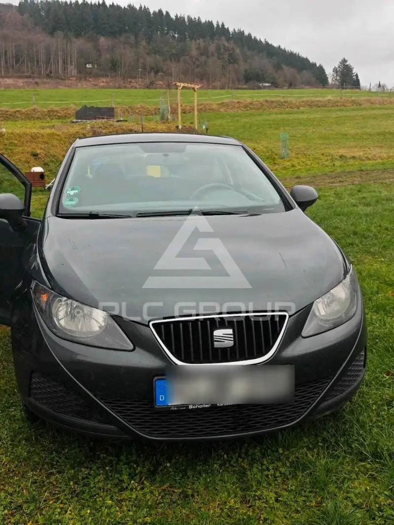 2009 Seat Ibiza