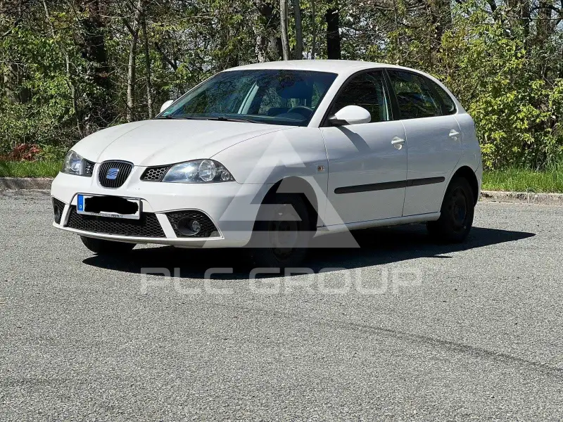 2009 Seat Ibiza