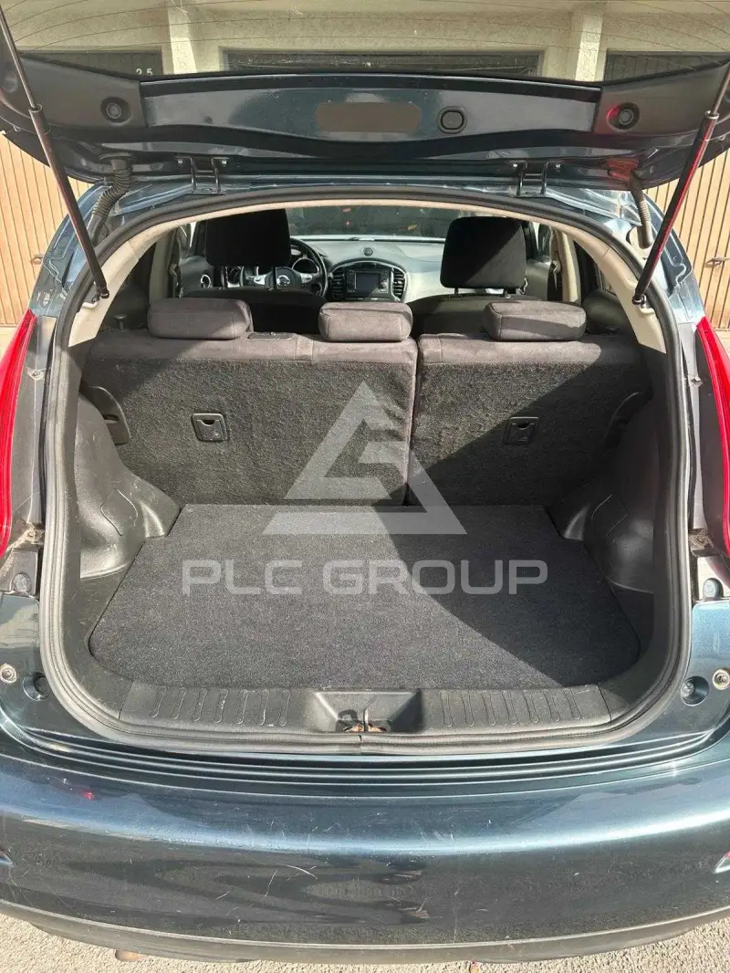 2010 Nissan Juke