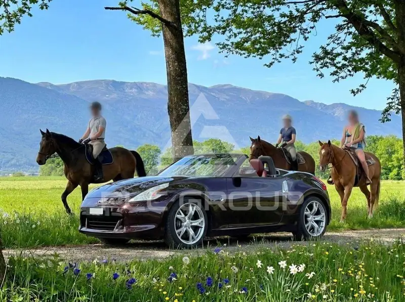 2010 Nissan 370Z