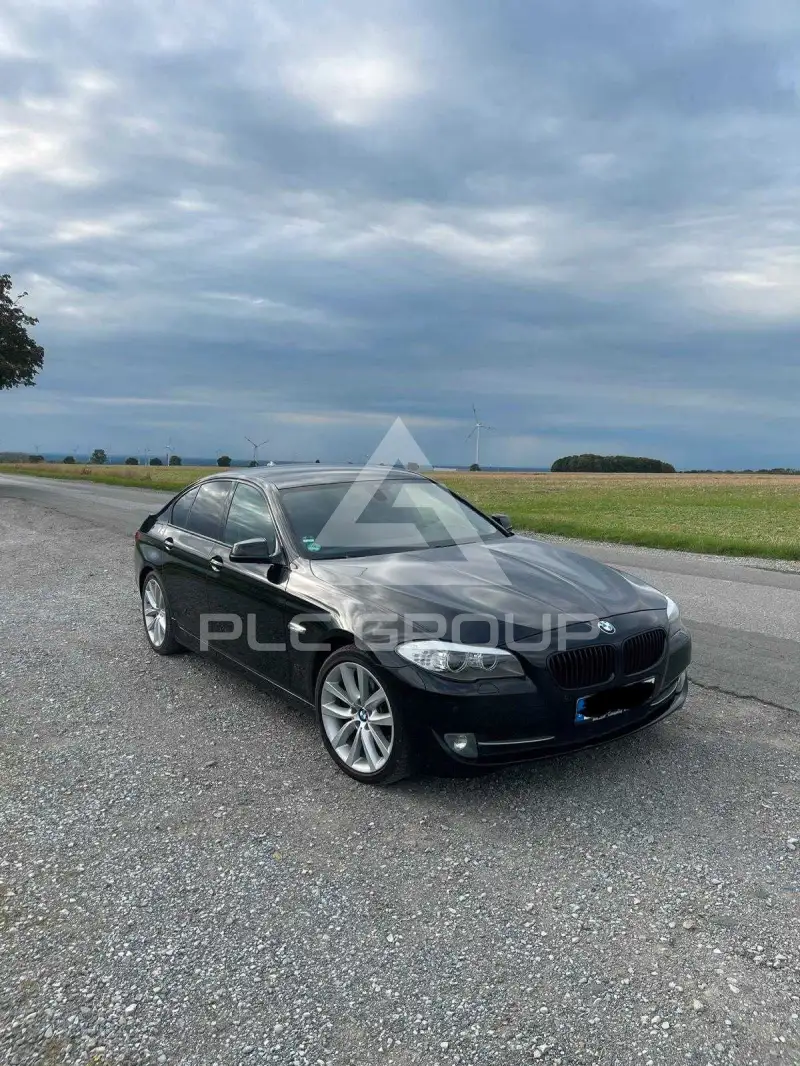 2010 BMW 523