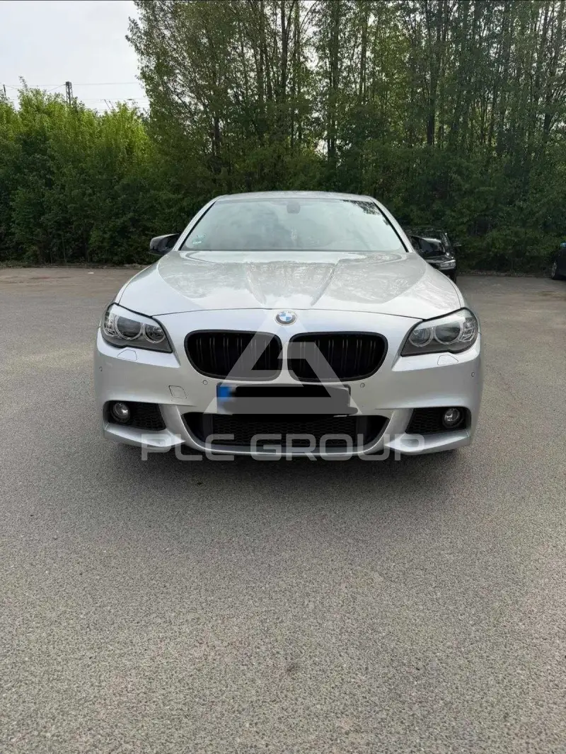 2010 BMW 523