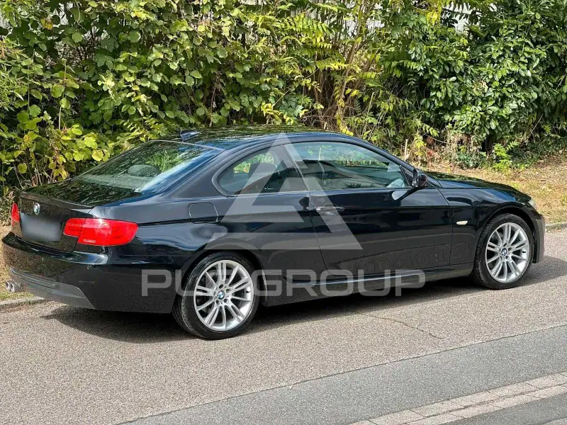 2010 BMW 330