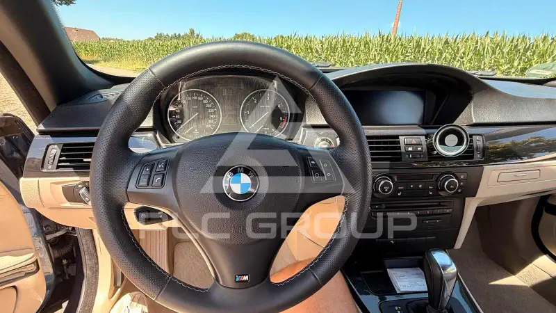 2010 BMW 330