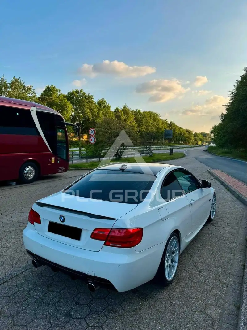 2010 BMW 330