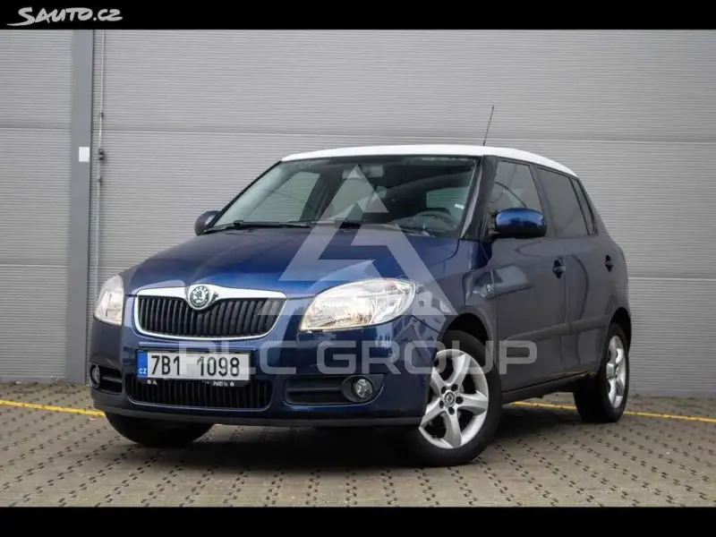 2010 Skoda Fabia