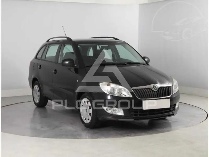 2010 Skoda Fabia