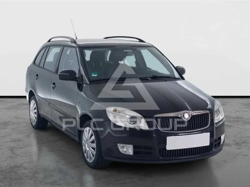 2010 Skoda Fabia