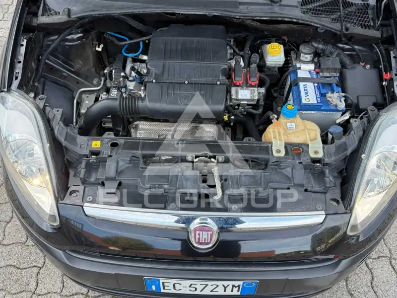 2010 Fiat Punto