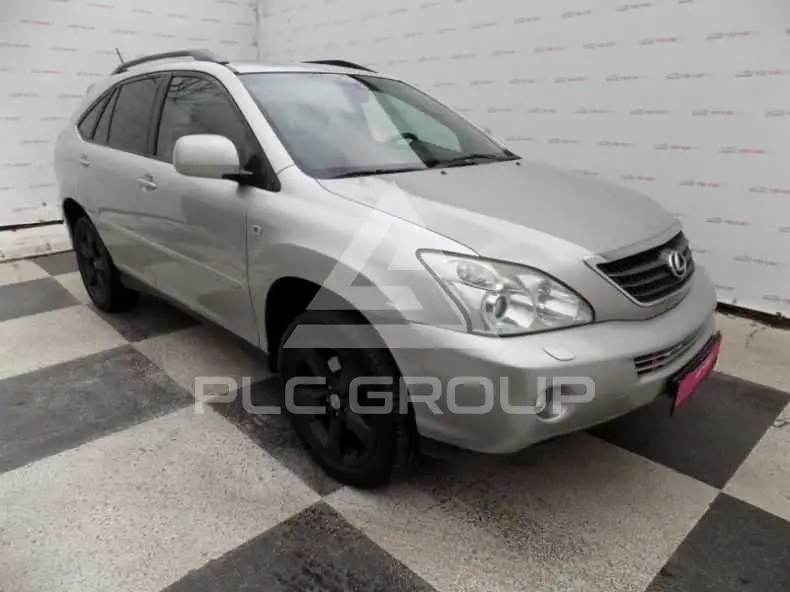 2010 Lexus RX