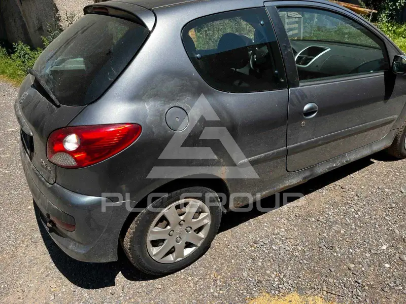 2010 Peugeot 206