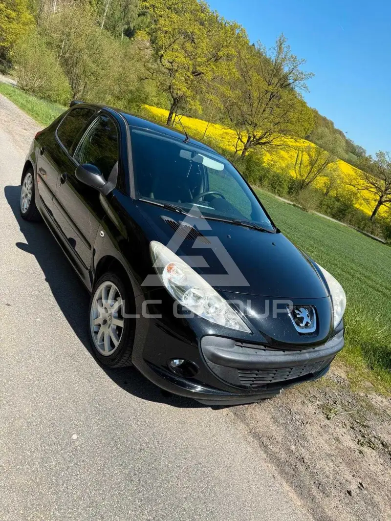 2010 Peugeot 206