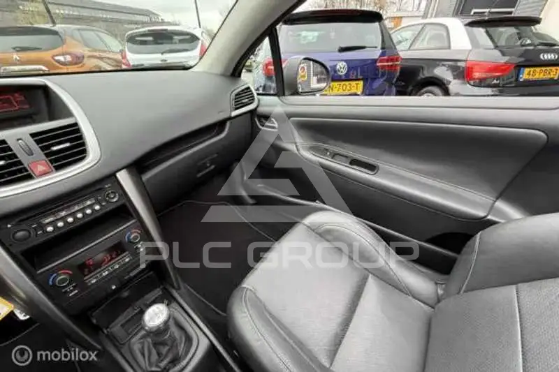 2010 Peugeot 207