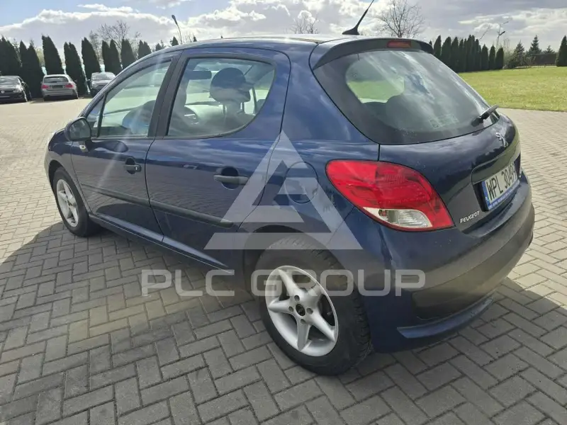 2010 Peugeot 207