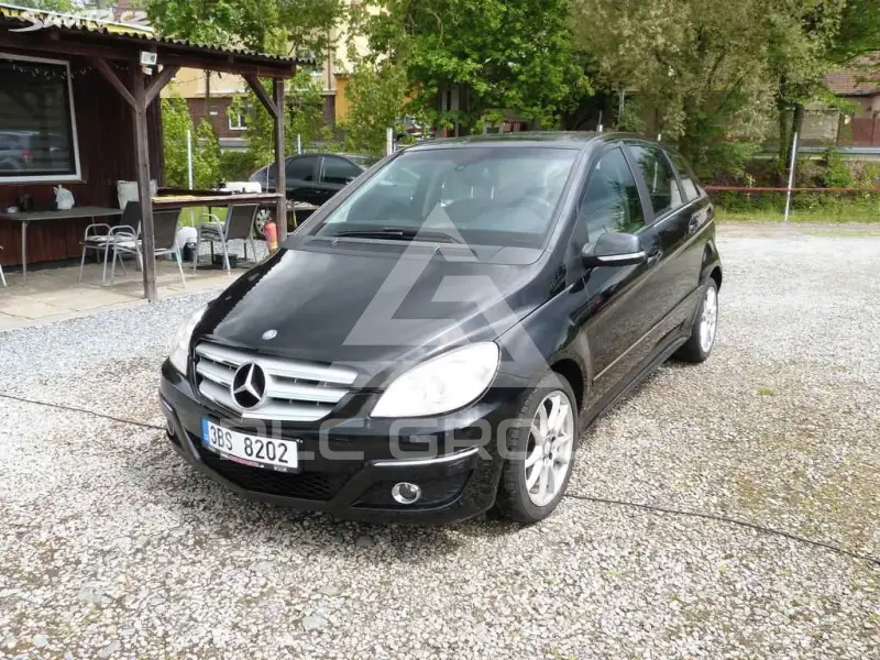 2010 Mercedes Benz B-Class