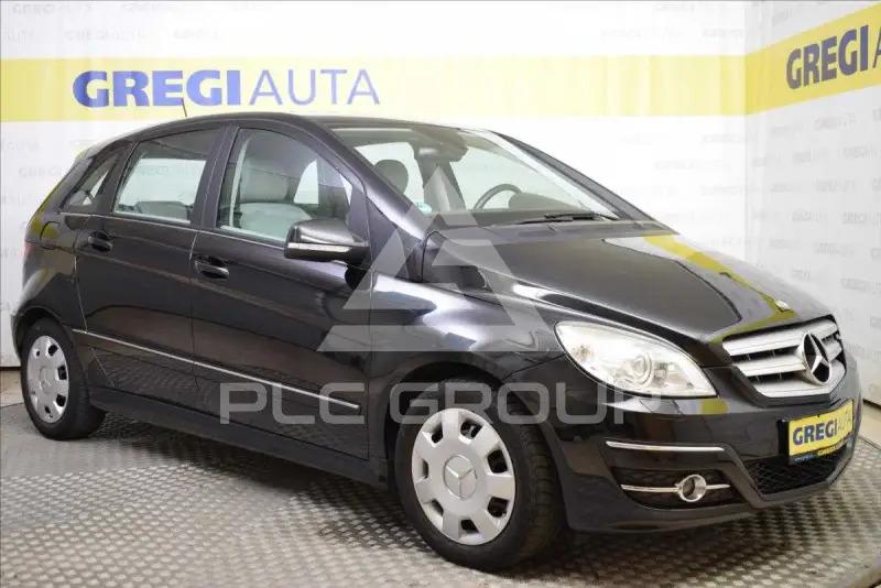 2010 Mercedes Benz B-Class
