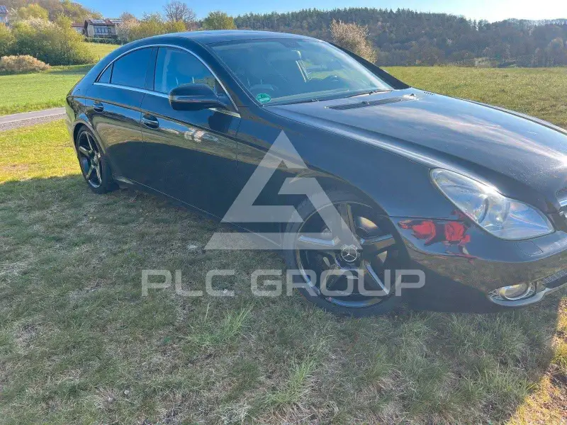 2010 Mercedes Benz CLS-Class