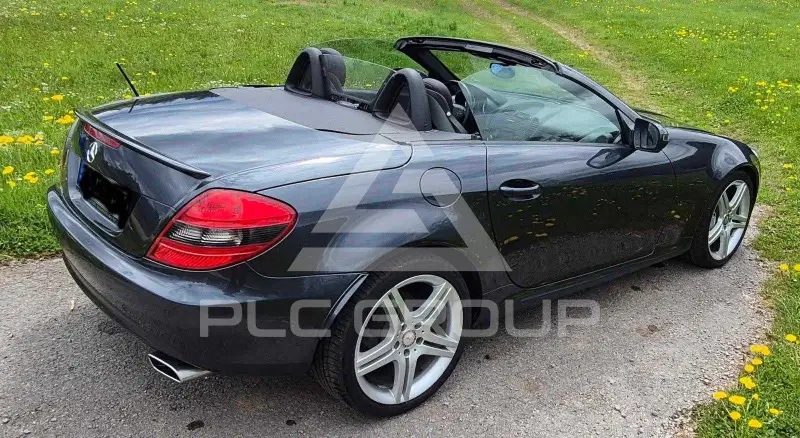 2010 Mercedes Benz SLK-Class