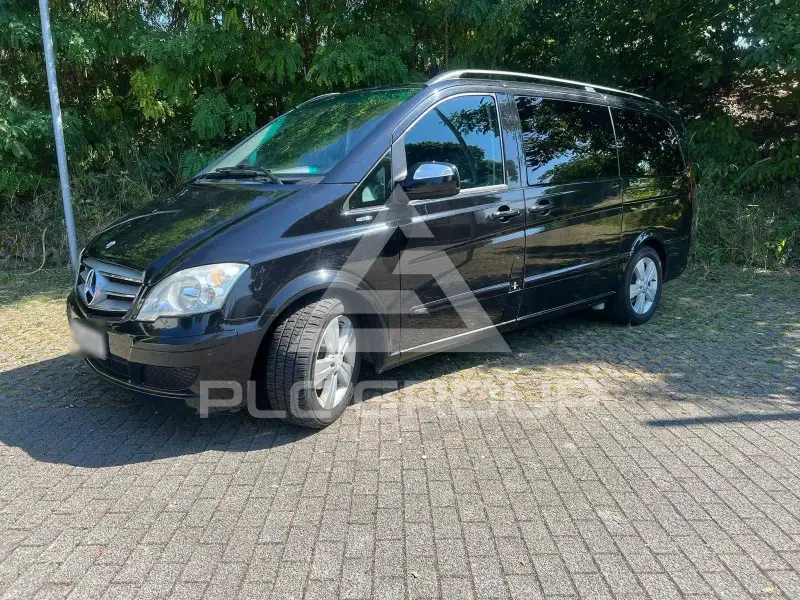 2010 Mercedes Benz Viano