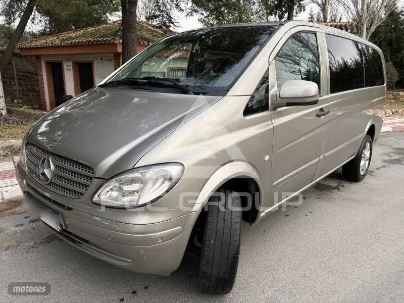2010 Mercedes Benz Viano