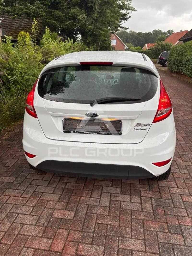 2010 Ford FIESTA