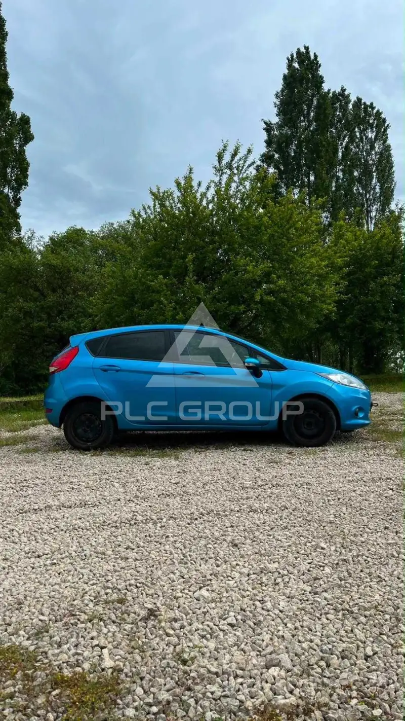 2010 Ford FIESTA