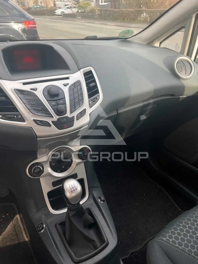 2010 Ford FIESTA