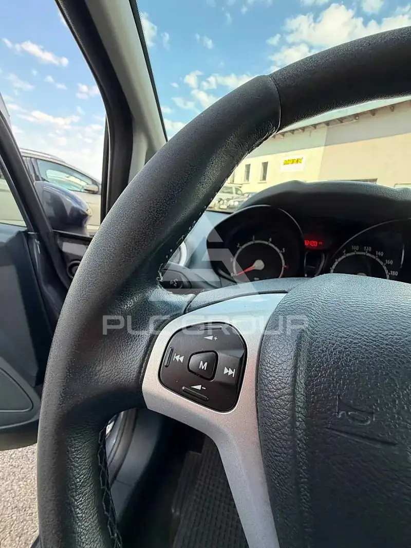 2010 Ford FIESTA