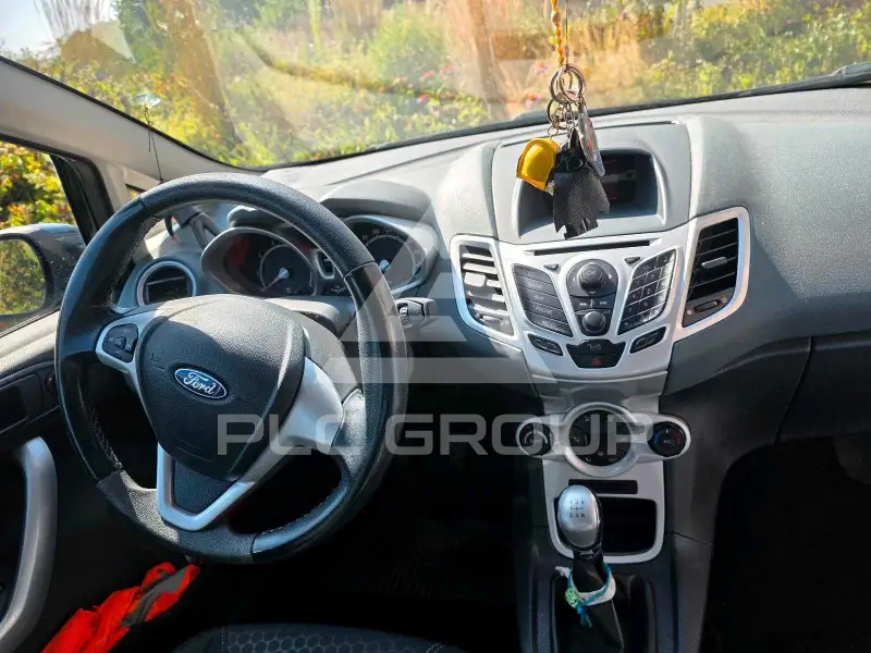 2010 Ford FIESTA