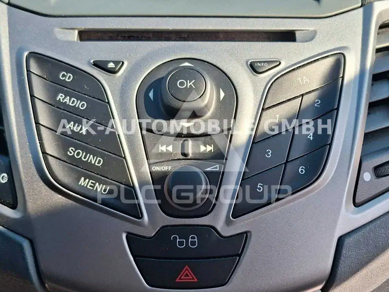 2010 Ford FIESTA