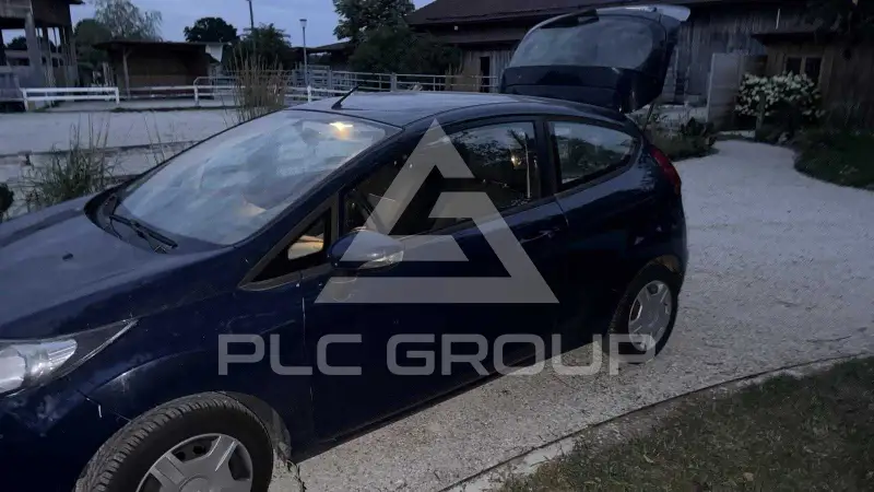 2010 Ford FIESTA