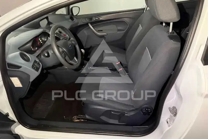2010 Ford FIESTA