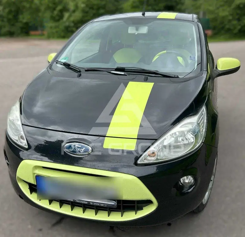 2010 Ford KA
