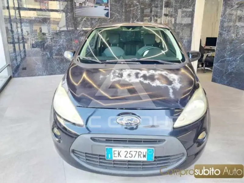 2010 Ford Puma