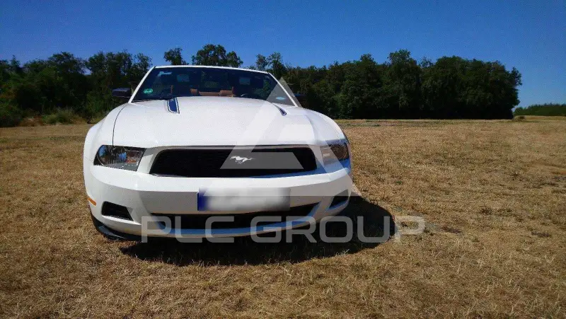 2010 Ford MUSTANG
