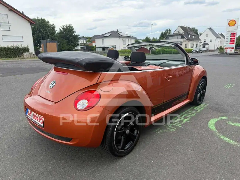 2010 Volkswagen BEETLE