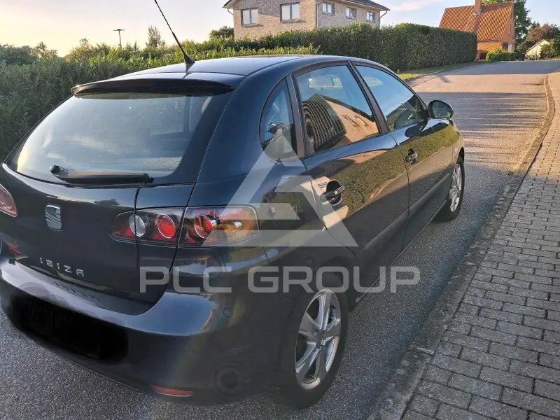 2010 Seat Ibiza